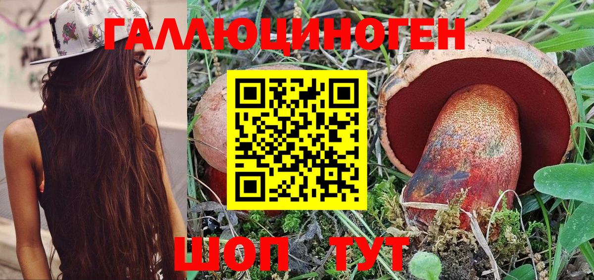 Россия  купить   Вход с VPN  Псилоцибиновые грибы Psilocybe 