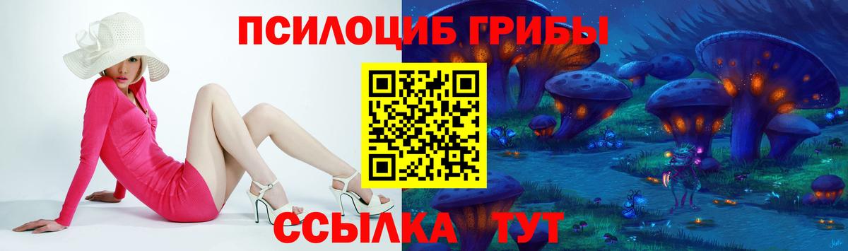 Галлюциногенные грибы Россия