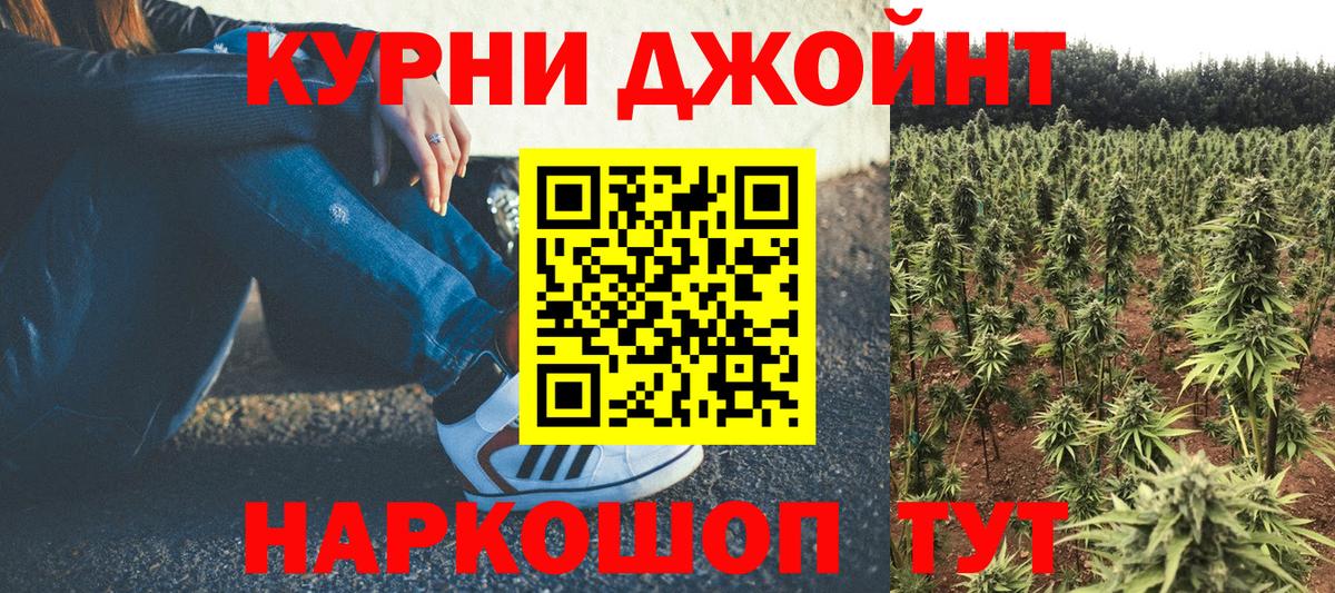 Марихуана сатива Россия